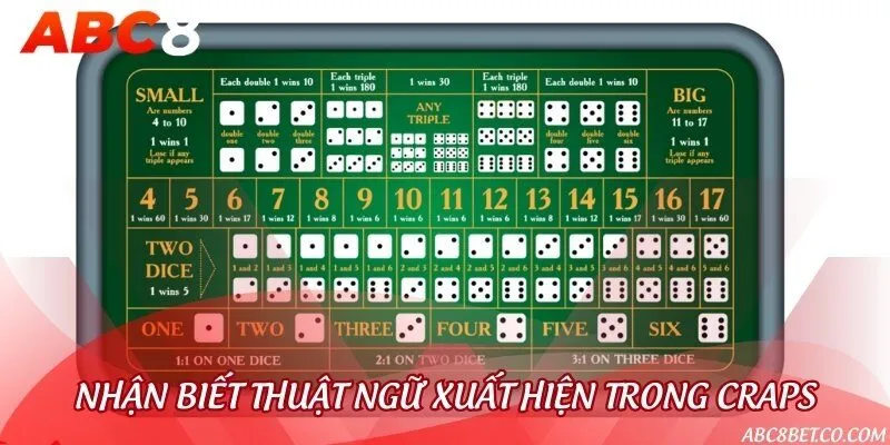 Hướng dẫn cách phân biệt thuật ngữ cơ bản